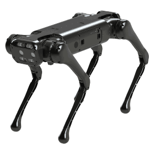 Robotics & Embodied Artificial Intelligence Lab