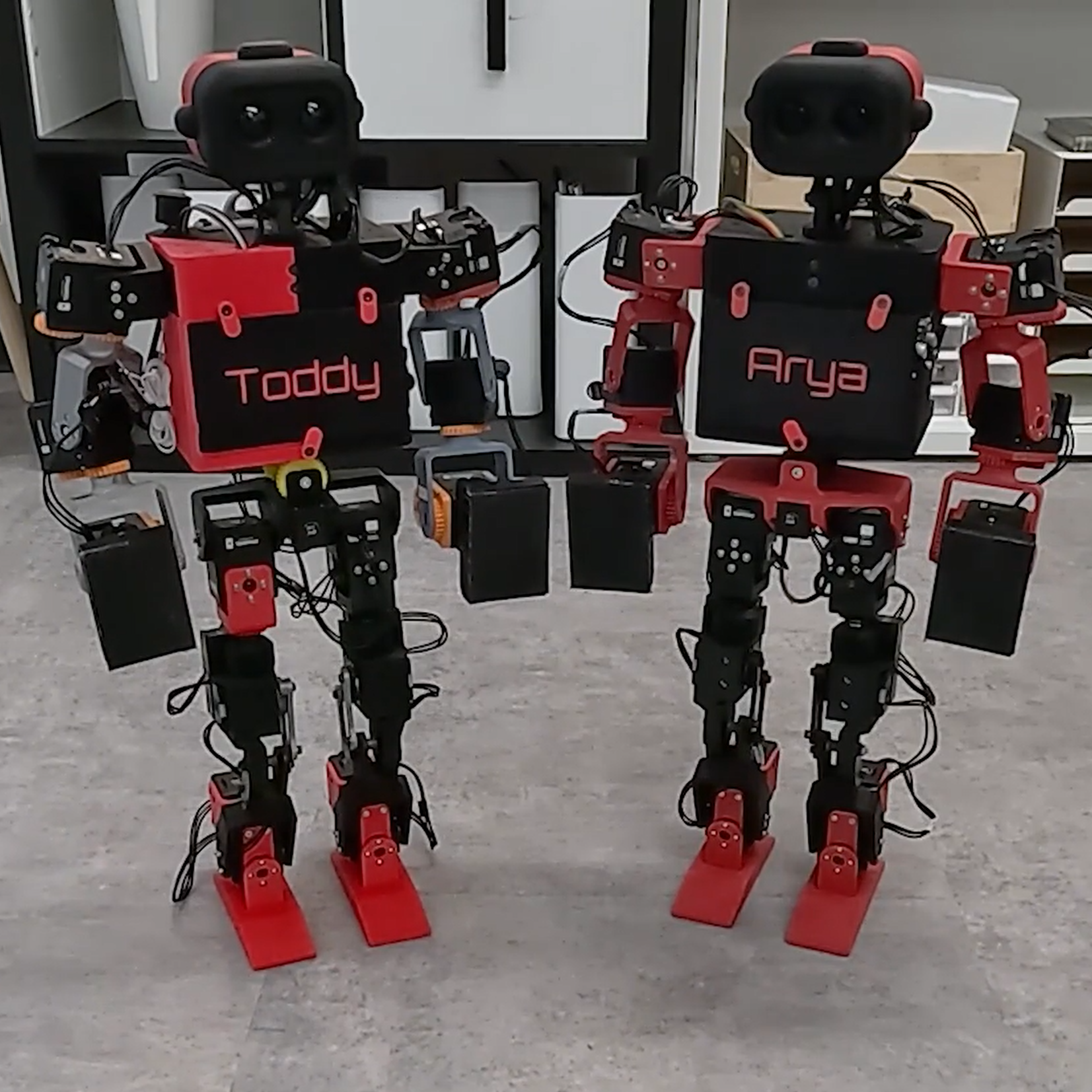 Robotics & Embodied Artificial Intelligence Lab